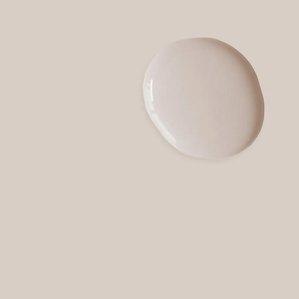 Annie Sloan Satin Paint, Pointe Silk 750 ml