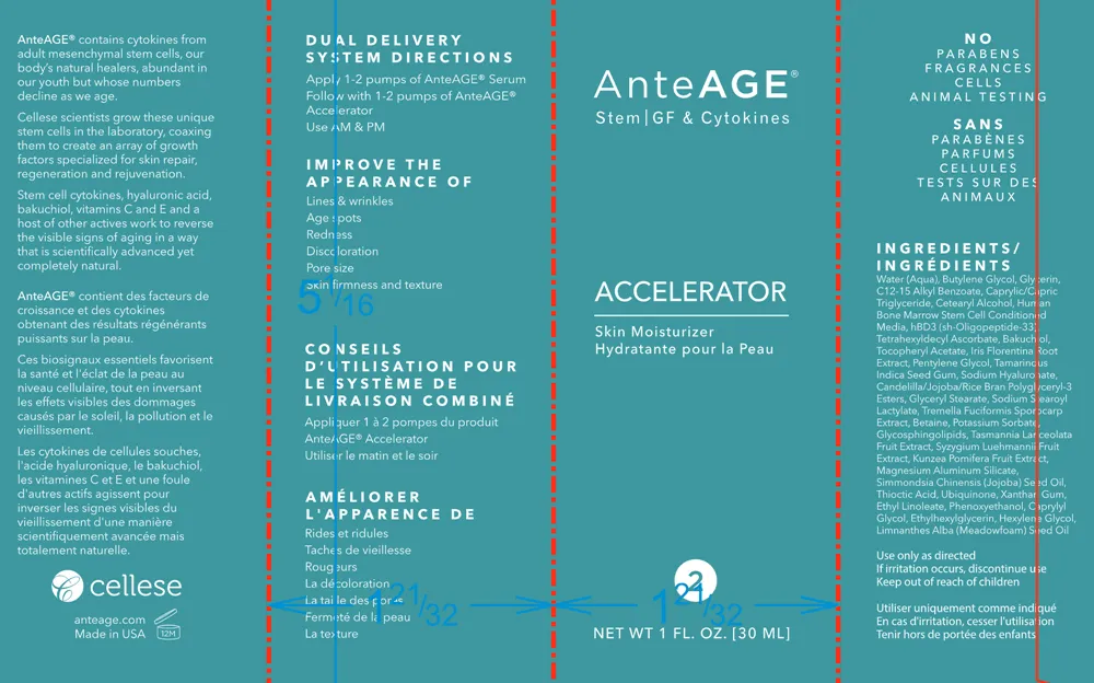 AnteAGE Accelerator