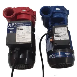 Aqua-Flo XP2 2.0HP (4.8 BHP) - 2-Speed Flo-Master - Spa Jet Booster Pump - NLS