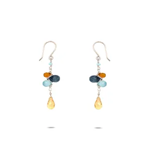 Biotope Koi Earring