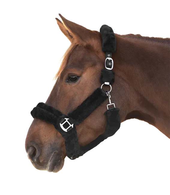 COZY HALTER by Waldhausen