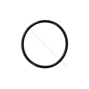 Davey XS / Celsior Union O-ring