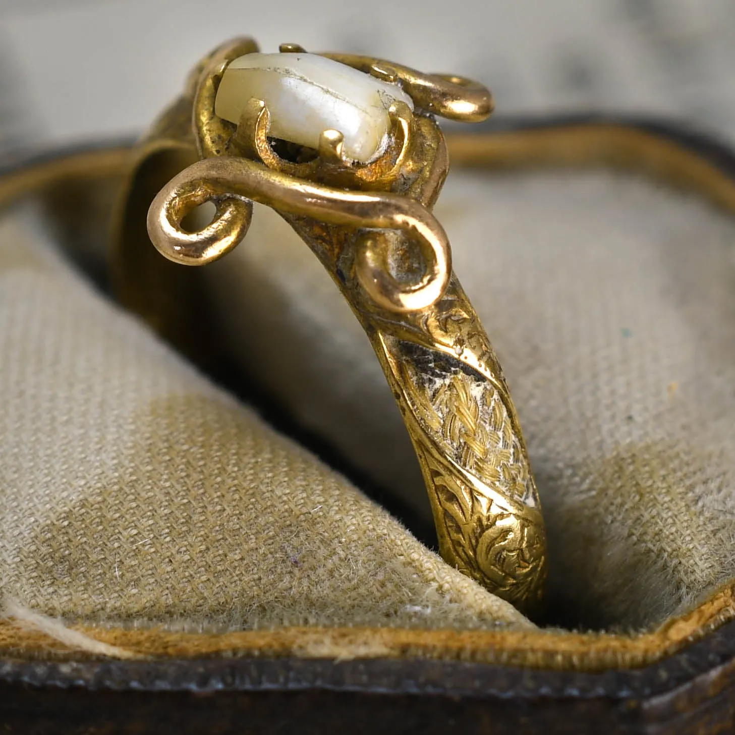 Georgian Milk Tooth Ring