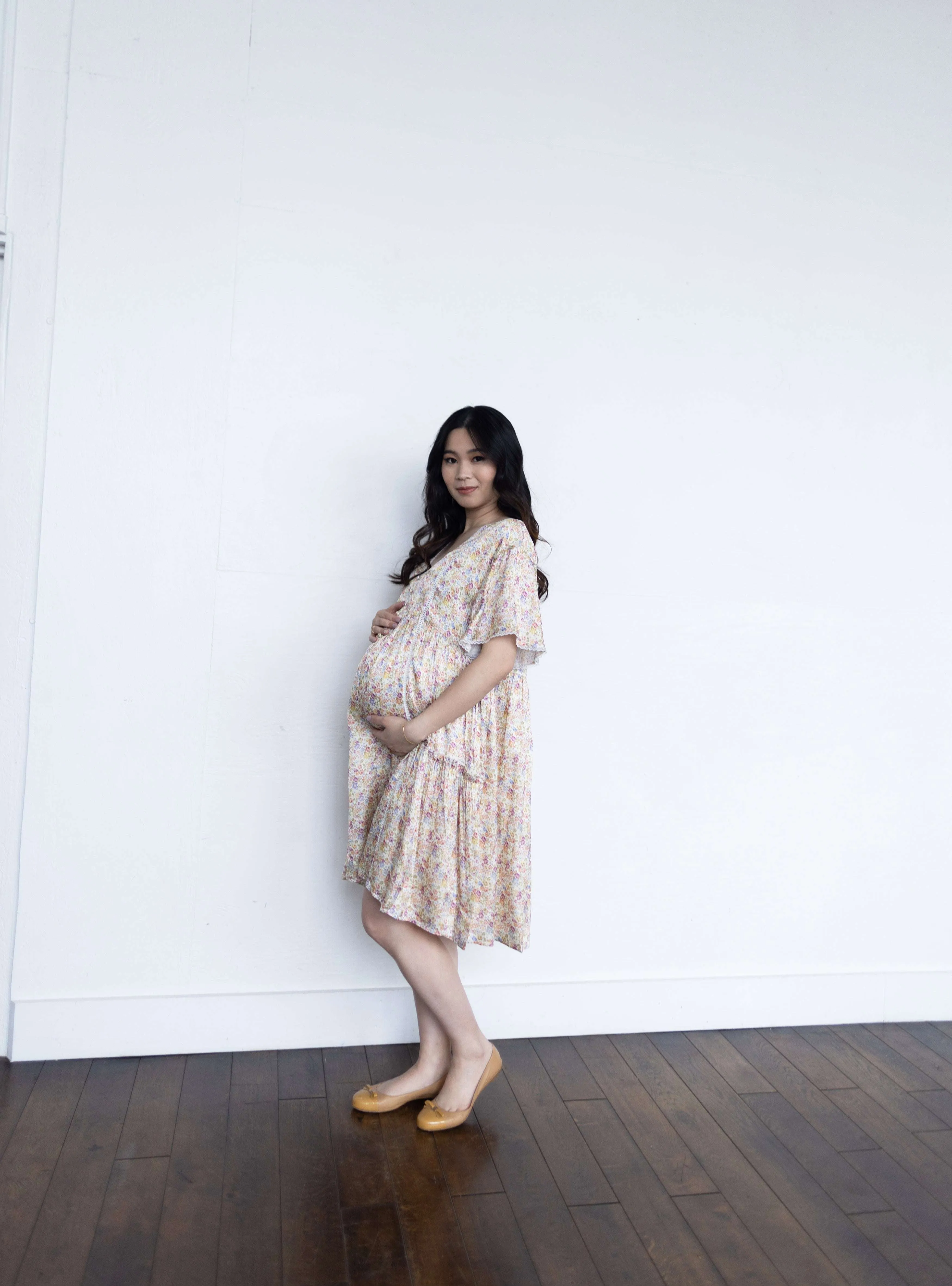 Hannah Maternity & Nursing Dress