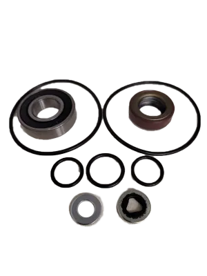 Hydraulic motor Seal kit for M10, M08, M05, M04  Hypro Force Field Pumps