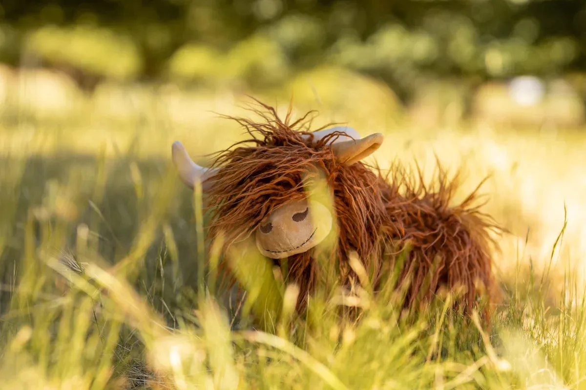 Nana Huchy Heidi the Highland Cow