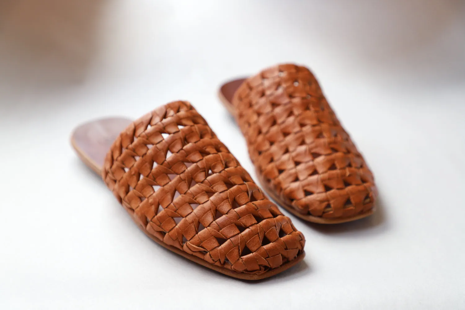 Nudo Mixteco | Woven Mule