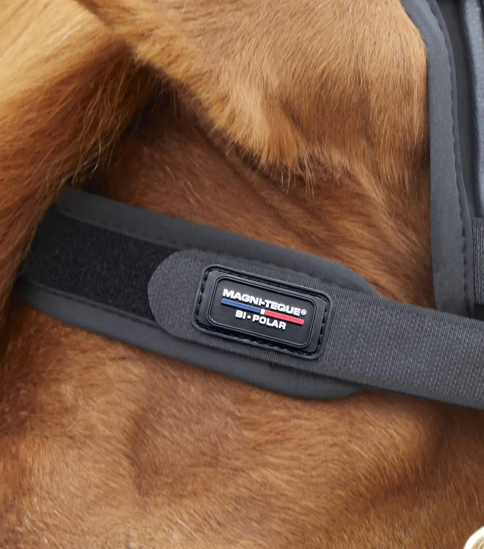 PEI Magni-Teque Magnetic Browband