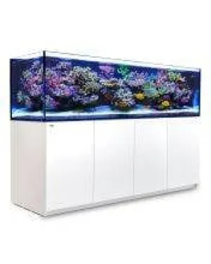 Red Sea Reefer G2  900 - White