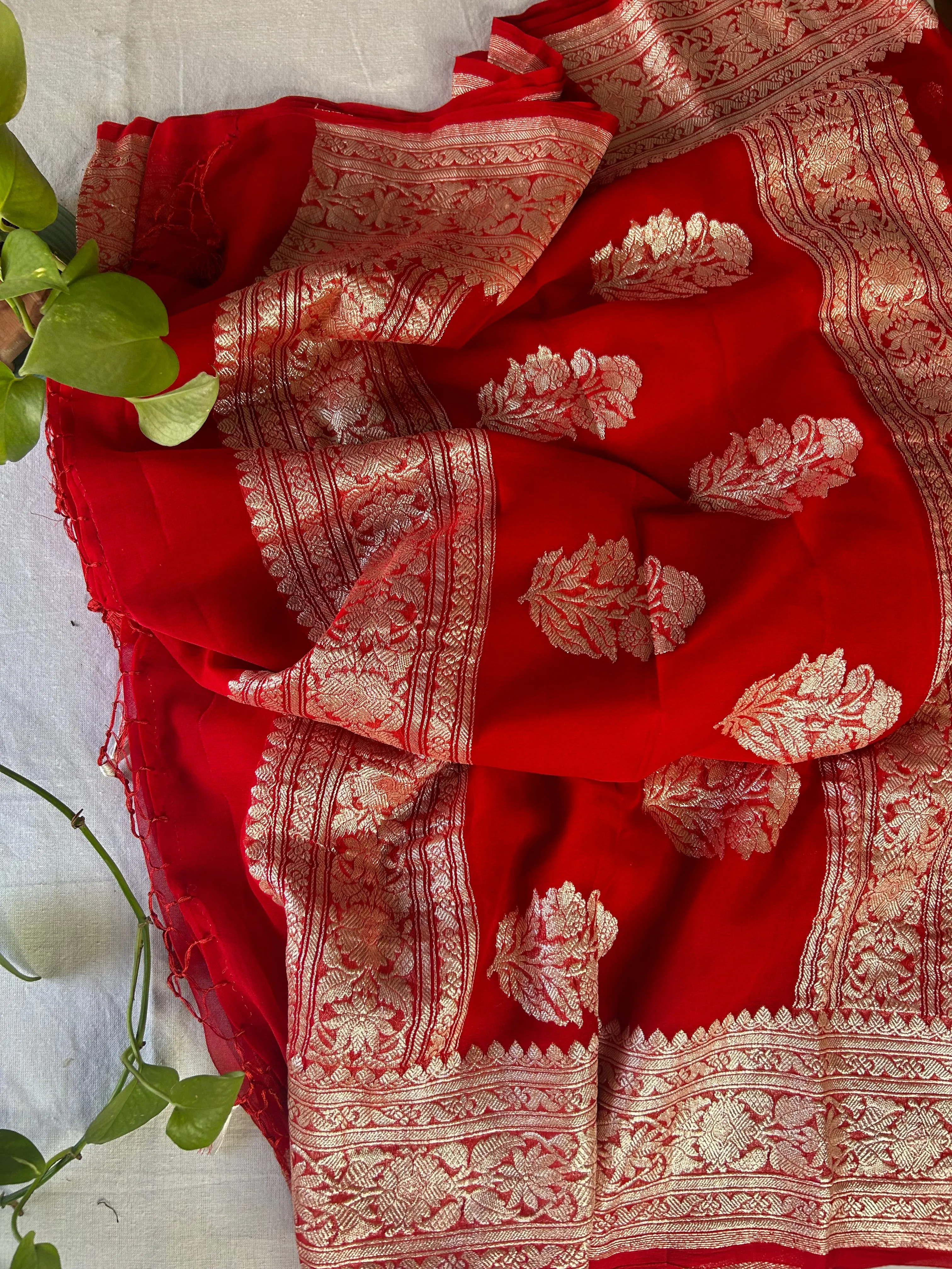 Royal Red Banarasi Jaal Georgette Saree