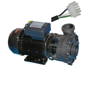 WP300-II Pro Series 3.0HP - LX Whirlpool - Two-speed Jet Booster Pump